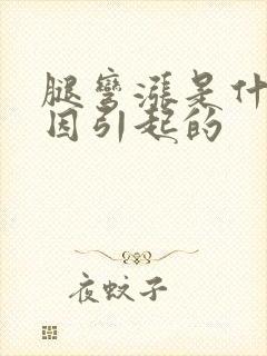 腿弯涨是什么原因引起的