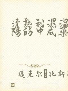 清热利湿温补肾阳的中成药