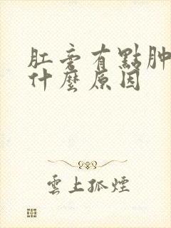 肛旁有点肿痛是什么原因