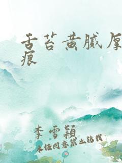 舌苔黄腻厚有齿痕