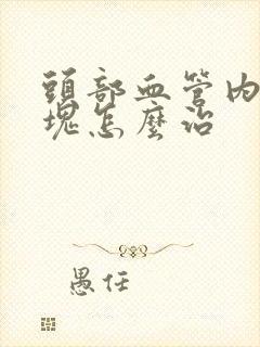 头部血管内有斑块怎么治