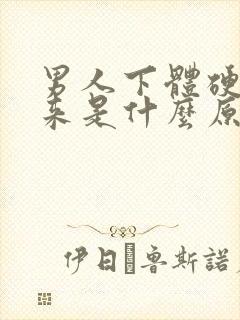 男人下体硬不起来是什么原因