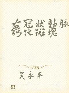 右冠状动脉管壁钙化斑块