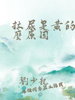 拉尿是黄的是什么原因