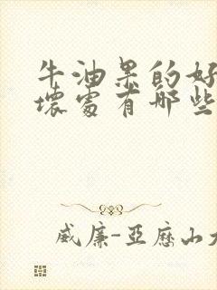 牛油果的好处与坏处有哪些