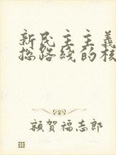 新民主主义革命总路线的核心是: