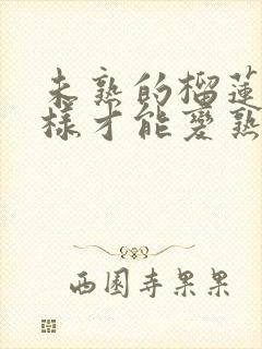 未熟的榴莲肉怎样才能变熟