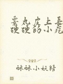 睾丸皮上长一个硬硬的小疙瘩