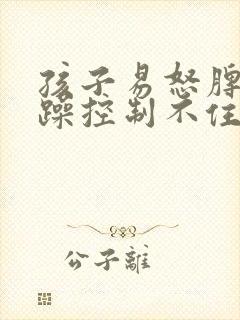 孩子易怒脾气暴躁控制不住