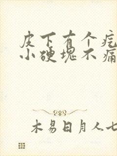 皮下有个疙瘩是小硬块不痛不痒