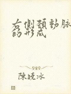 右侧颈动脉斑块的形成