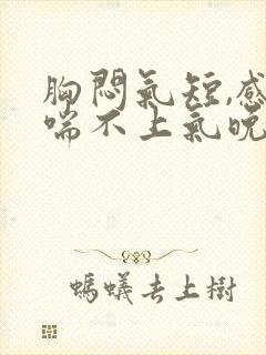 胸闷气短,感觉喘不上气晚上严重