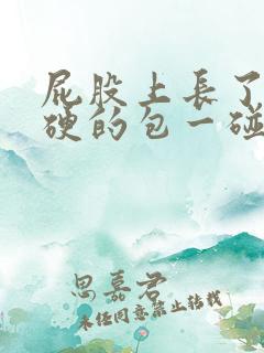 屁股上长了个硬硬的包一碰就疼