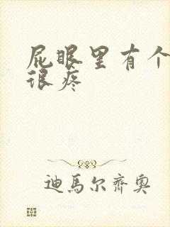 屁眼里有个疙瘩很疼