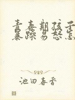 青春期孩子性格暴躁易怒怎么办