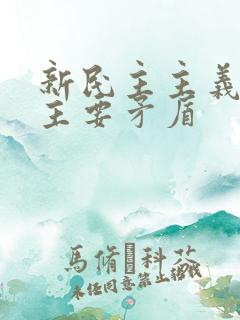 新民主主义革命主要矛盾