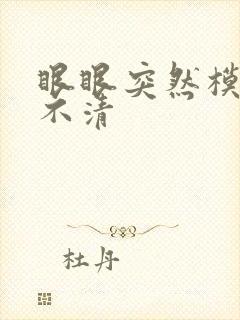 眼眼突然模糊看不清