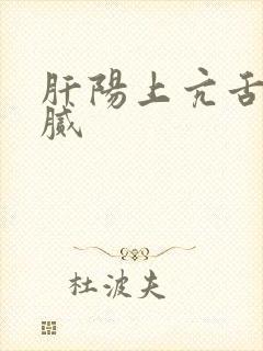 肝阳上亢舌苔黄腻