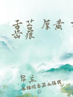 舌苔 厚黄 有齿痕