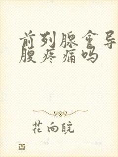 前列腺会导致小腹疼痛吗