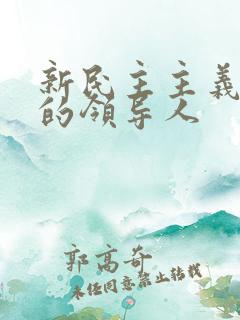 新民主主义革命的领导人