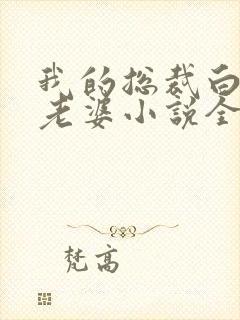 我的总裁白富美老婆小说全集完整版