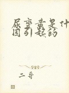 尿变黄是什么原因引起的