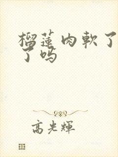 榴莲肉软了是坏了吗