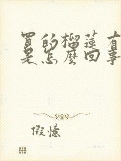 买的榴莲有点苦是怎么回事啊