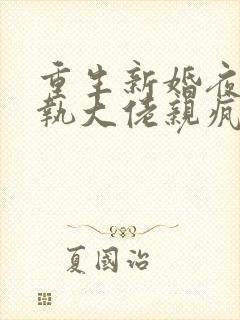 重生新婚夜被偏执大佬亲疯了txt下载