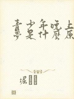 青少年晚上做噩梦是什么原因