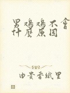 男鸡鸡不会硬是什么原因