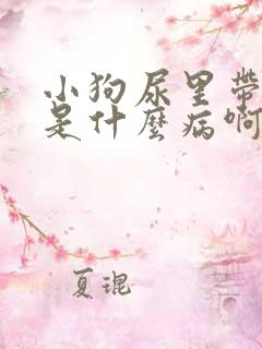 小狗尿里带点血是什么病啊