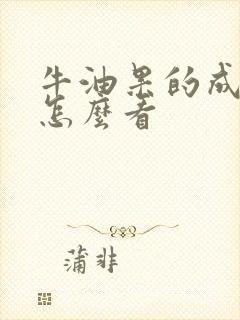 牛油果的成熟度怎么看