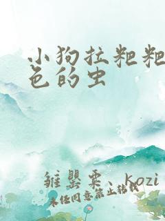 小狗拉粑粑有白色的虫