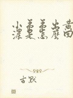 小弟弟出黄色的浓是怎么回事