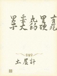 男睾丸里有个豆子大的硬疙瘩