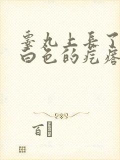 睾丸上长了一个白色的疙瘩