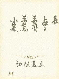 小弟弟上长水泡是怎么了