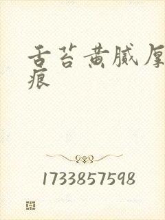 舌苔黄腻厚有齿痕