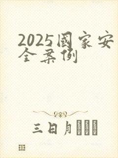 2025国家安全案例