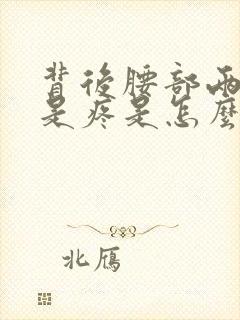 背后腰部两侧总是疼是怎么回事