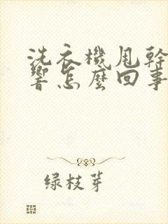 洗衣机甩干有异响怎么回事