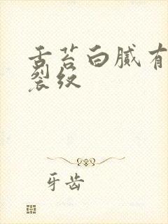 舌苔白腻有齿痕裂纹