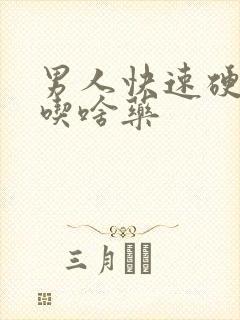 男人快速硬起来吃啥药