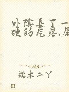 外阴长了一颗硬硬的疙瘩,属于什么症状