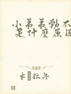 小弟弟勃不起来 是什么原因