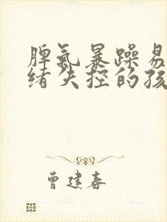 脾气暴躁易怒情绪失控的孩子