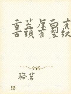 舌苔厚白有齿痕舌头有裂纹