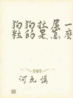 狗狗拉屎一粒一粒的是怎么回事